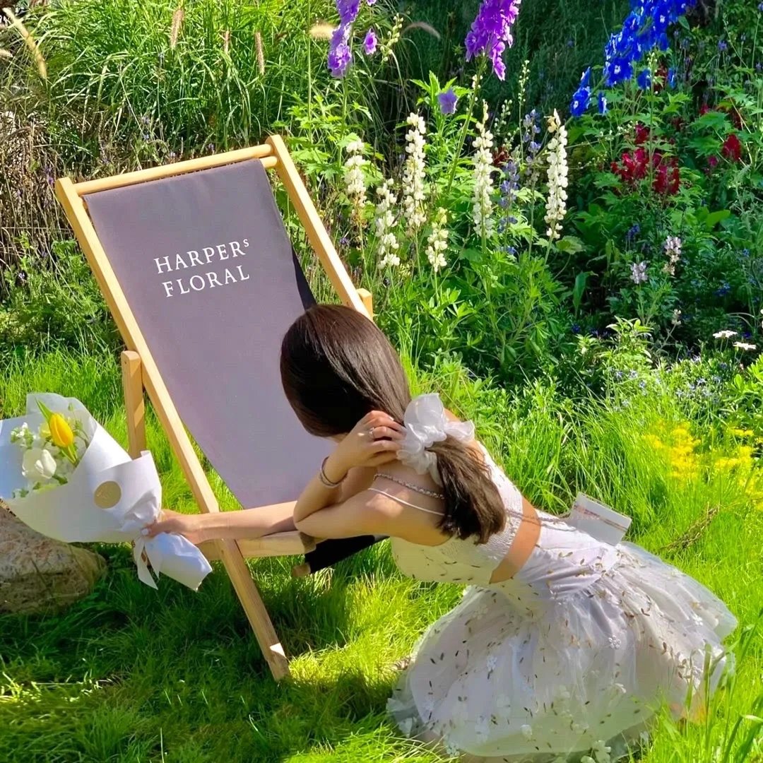 开局被休绝色千金跪求复合